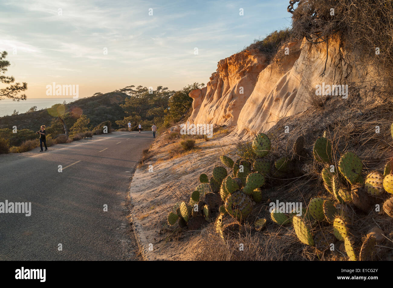 Klippen und Sonnenuntergang über dem Pazifischen Ozean im Torrey Pines State Park, La Jolla, Kalifornien Stockfoto