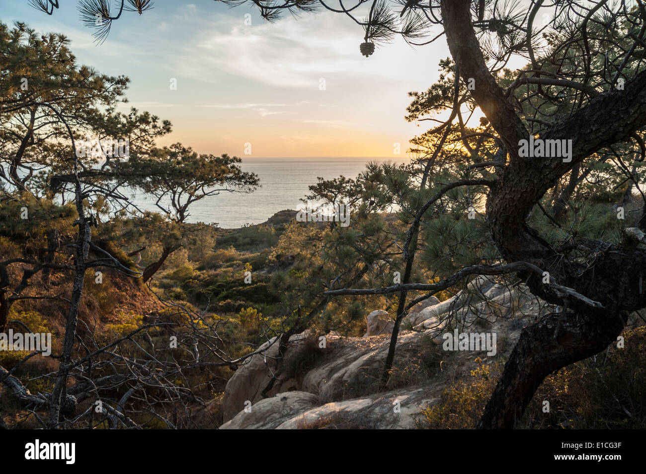 Klippen und Sonnenuntergang über dem Pazifischen Ozean im Torrey Pines State Park, La Jolla, Kalifornien Stockfoto