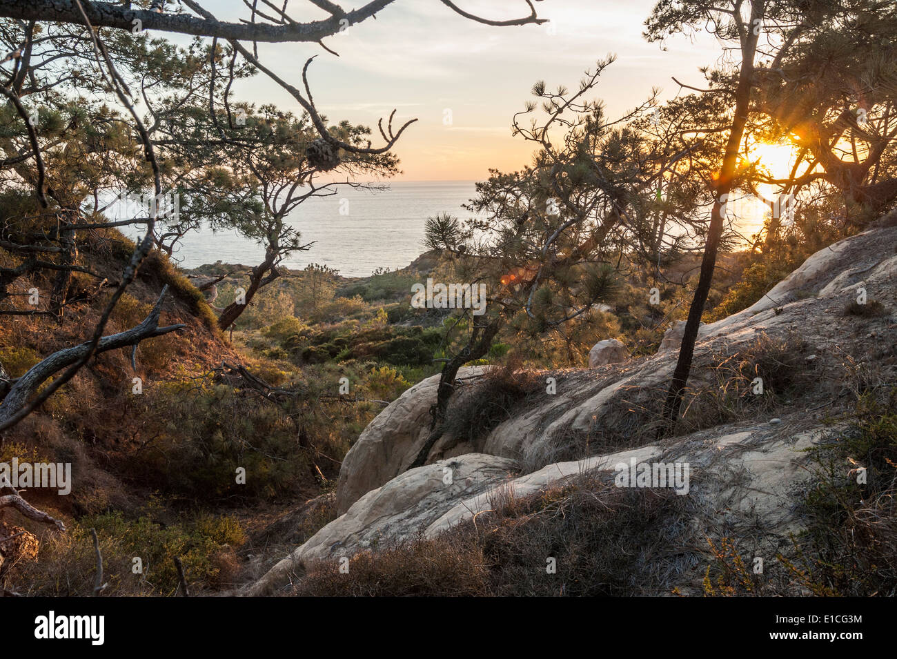 Klippen und Sonnenuntergang über dem Pazifischen Ozean im Torrey Pines State Park, La Jolla, Kalifornien Stockfoto