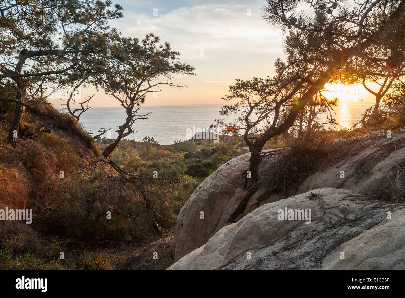 Klippen und Sonnenuntergang über dem Pazifischen Ozean im Torrey Pines State Park, La Jolla, Kalifornien Stockfoto