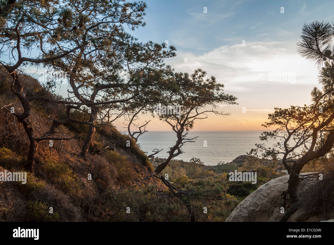 Klippen und Sonnenuntergang über dem Pazifischen Ozean im Torrey Pines State Park, La Jolla, Kalifornien Stockfoto