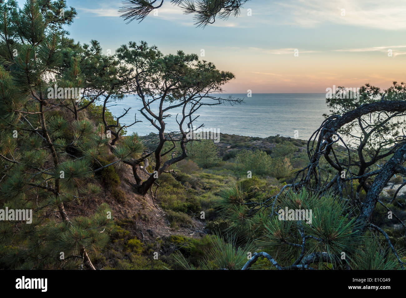 Sonnenuntergang über dem Pazifischen Ozean im Torrey Pines State Park, La Jolla, Kalifornien Stockfoto