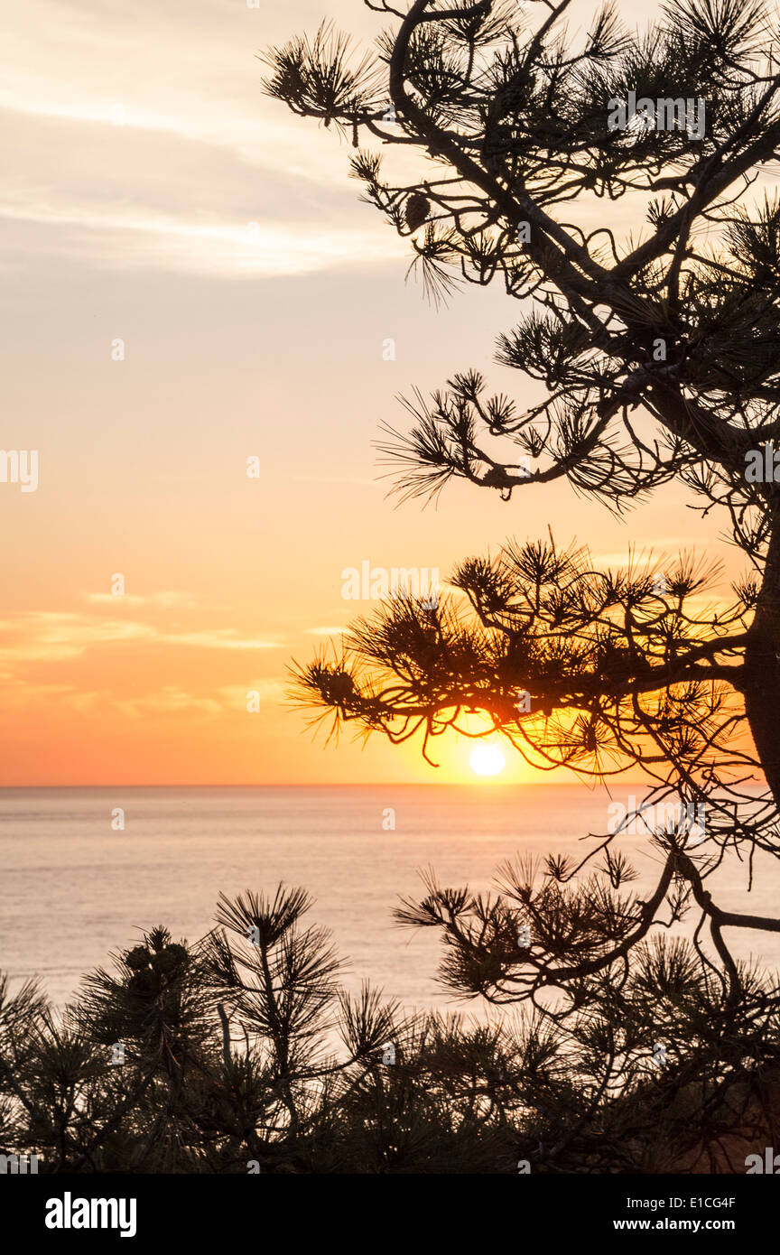 Sonnenuntergang im Torrey Pines State Park, La Jolla, Kalifornien Stockfoto