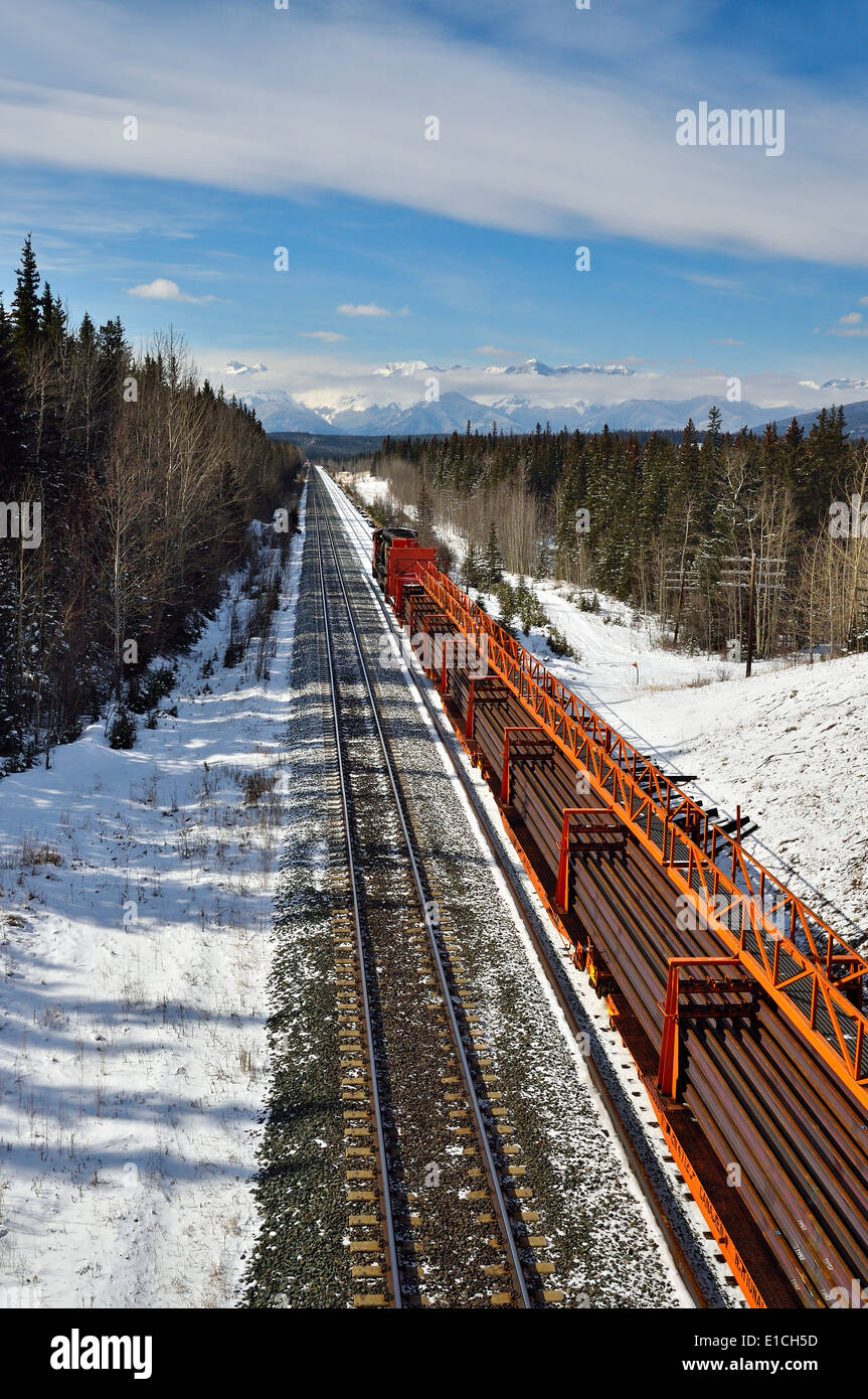 Ein Canadian National Güterzug schleppen eine Last von Zug Schienen auf den schneebedeckten Rocky Mountains von Alberta, Kanada. Stockfoto