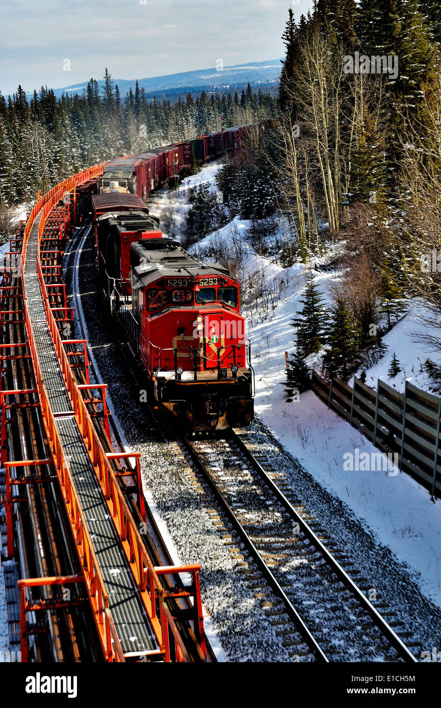 Ein vertikales Bild von einem kanadischen nationalen Güterzug unterwegs um eine Kurve neben einer Reihe von Güterwagen Stockfoto
