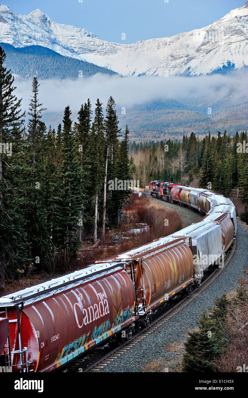 Ein Canadian National Güterzug west Reisen Stockfoto