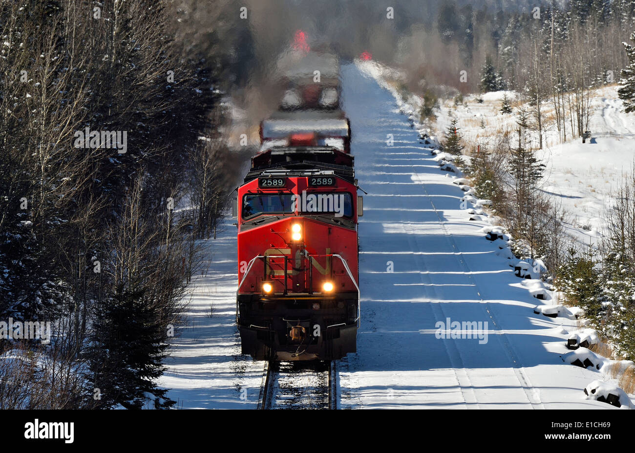 Eine Nahaufnahme der horizontalen Bild eines kanadischen nationalen Güterzugs Reisen einen geraden Abschnitt des Titels Stockfoto