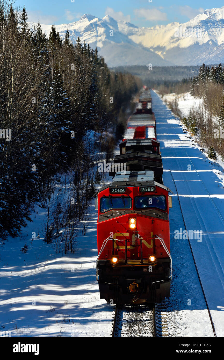 Ein vertikales Bild von einem kanadischen nationalen Güterzug Stockfoto