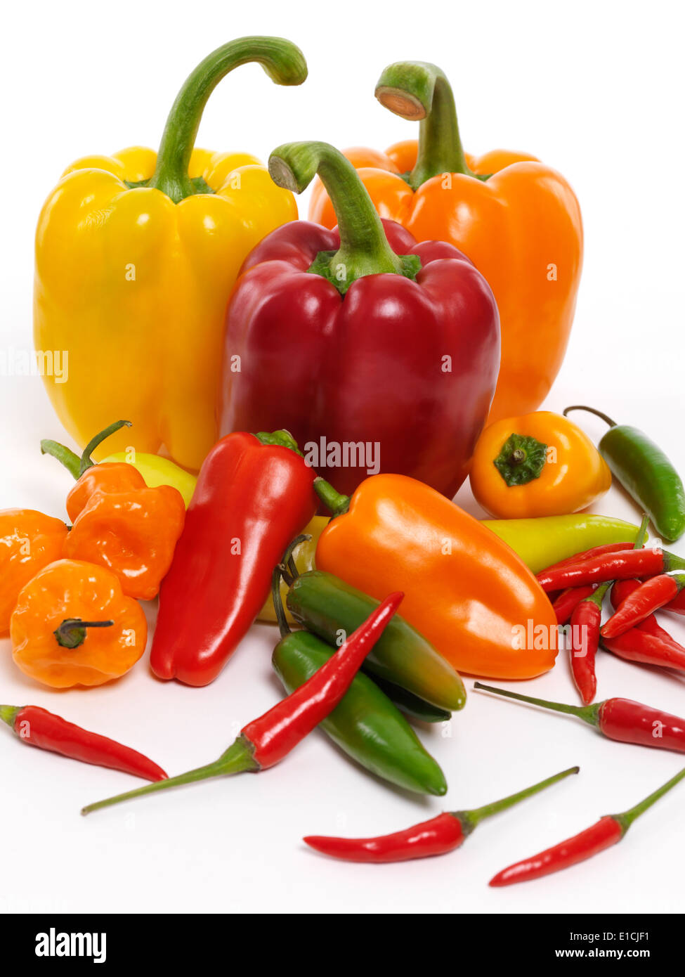 Vielzahl von rot, gelb, orange Paprikaschoten, Jalapeno, Cubanelle, Thai Paprika, Scotch Bonnet Pfeffer, Mini-Paprika. Stockfoto