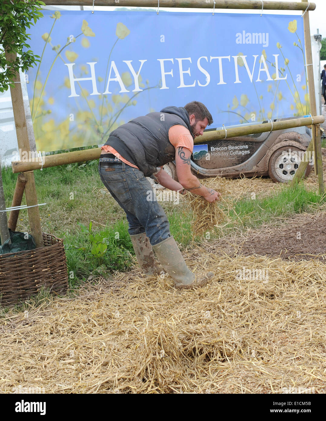 Der Hay Festival 2014 Hay on Wye, Wales Samstag 31 kann 2014 Heu im Heu: ein Festival Arbeiter Verbreitung Heu Stroh auf dem schlammigen Boden am vorletzten Tag des Daily Telegraph Heu Literaturfestival 2014, Wales UK Foto © Keith Morris Stockfoto