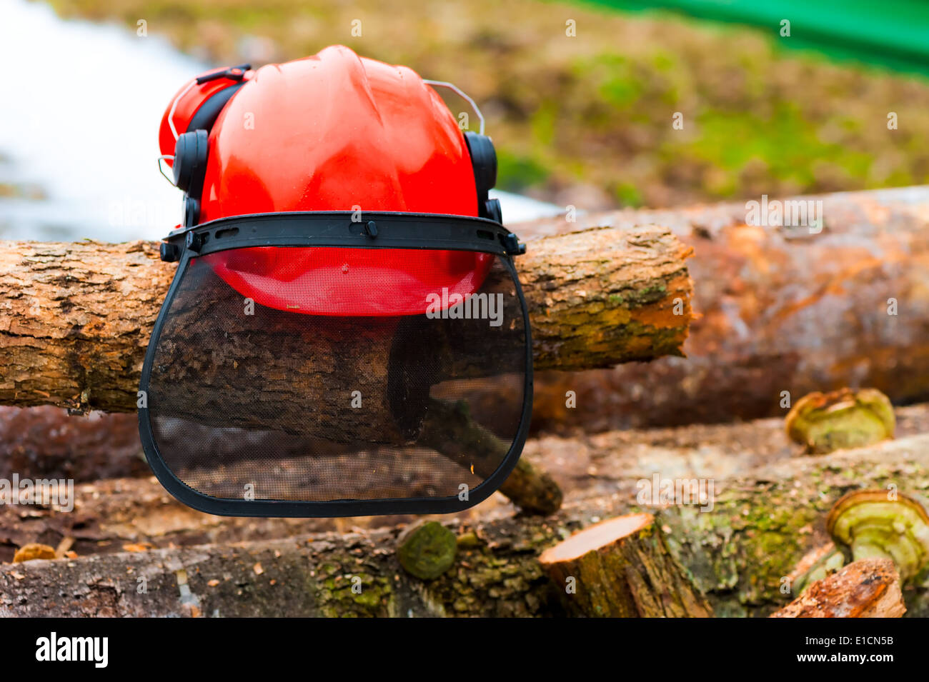 Schutzhelm auf die Protokolle im Wald liegen Stockfoto