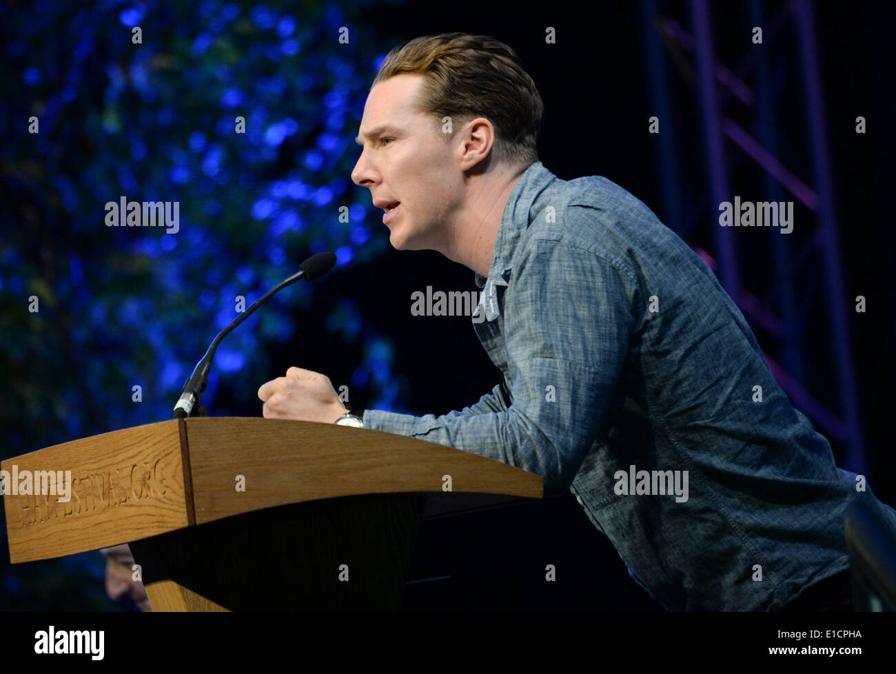 Hay Hay on Wye, Wales, UK Festival 2014. 31. Mai 2014. Schauspieler BENEDICT CUMBERBATCH Reeading einem gepackten ausverkauften Publikum am vorletzten Tag des Daily Telegraph Heu Literaturfestival 2014, Wales UK Credit: Keith Morris/Alamy Live-Nachrichten Stockfoto
