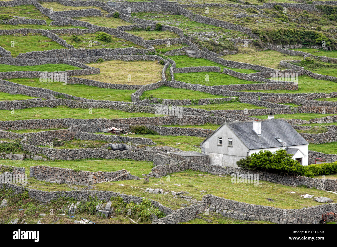 Trockenmauern prägen das Landschaftsbild auf Inisheer, die kleinste und östlichste der drei Aran-Inseln, West Irland. Stockfoto