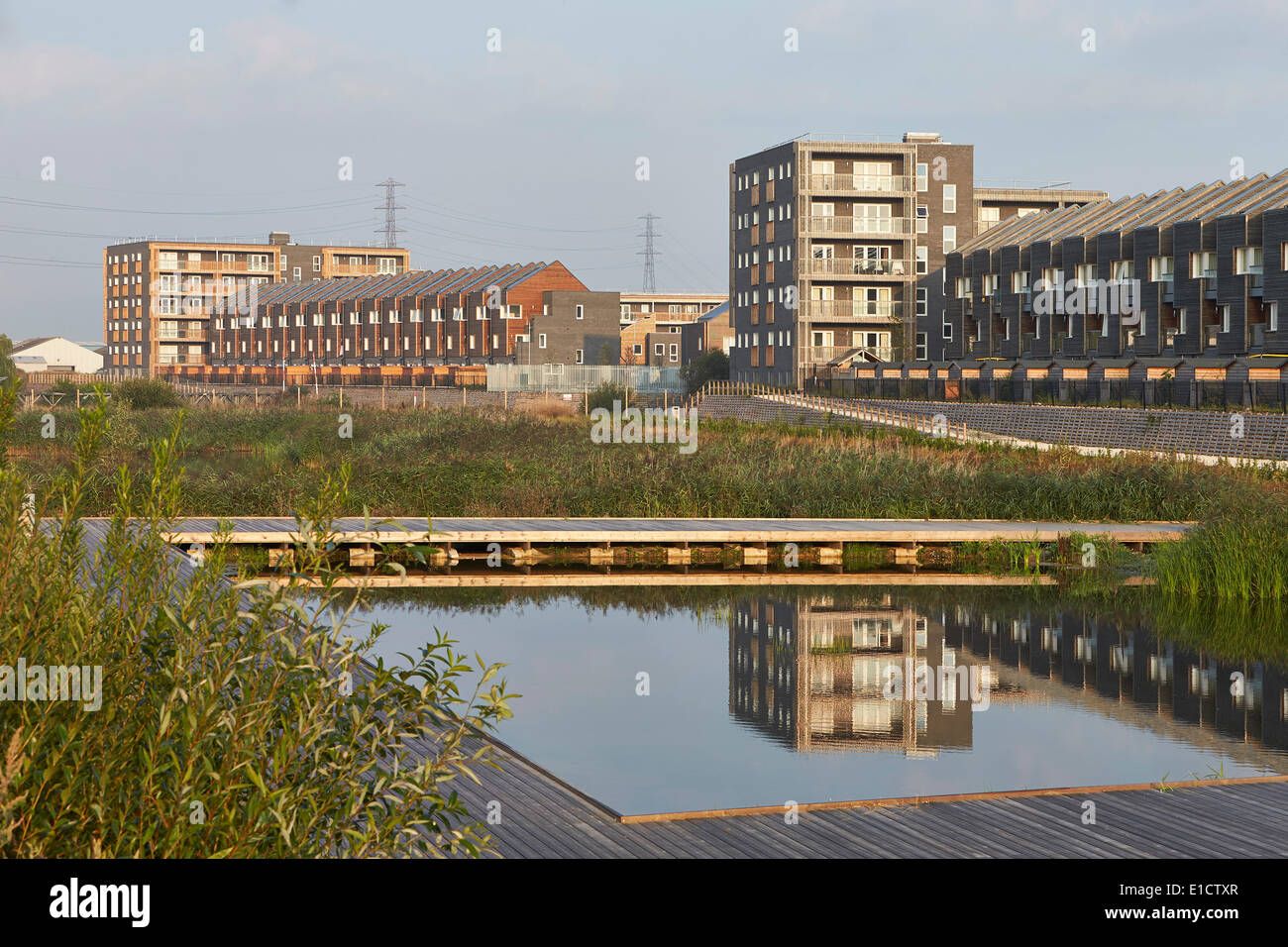 Bellen am Flussufer Wohnsiedlung, bellen, Vereinigtes Königreich. Architekt: Sheppard Robson, 2014. Angelegten Bach Teich-Gebiet Stockfoto
