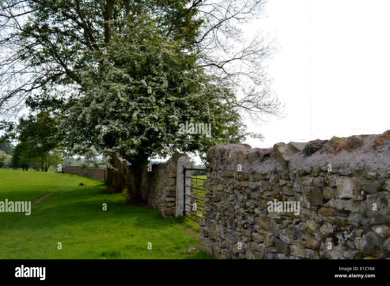 Ein Spaziergang durch Kendal im wunderschönen Lake District Stockfoto