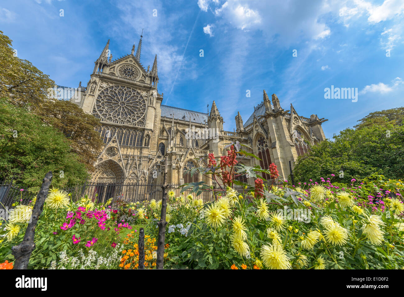 Notre-Dame de Paris Gärten an einem sonnigen Sommertag in Paris, Frankreich Stockfoto