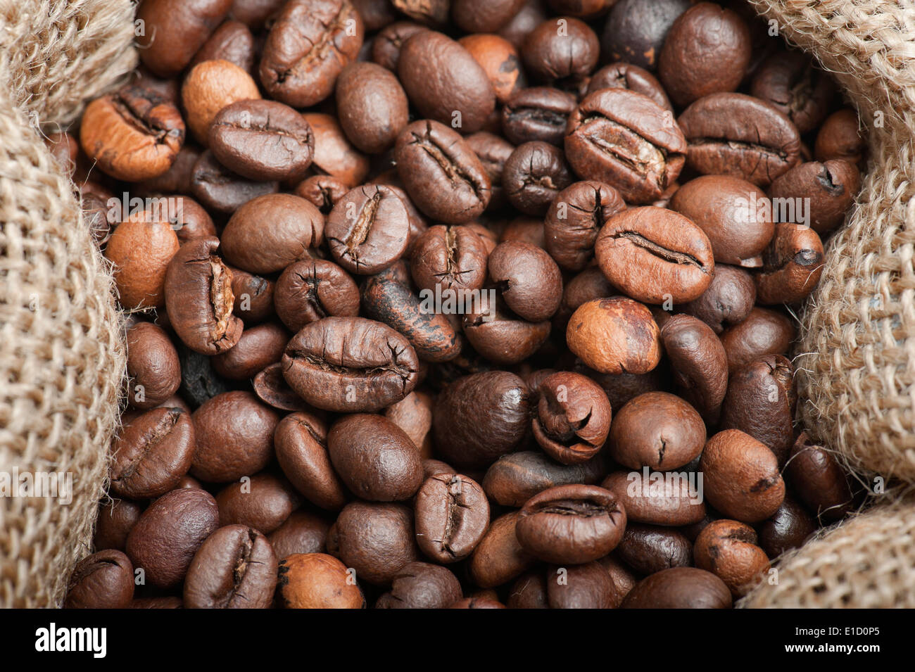 Kaffeebohnen Closeup auf Jute-Tasche Stockfoto