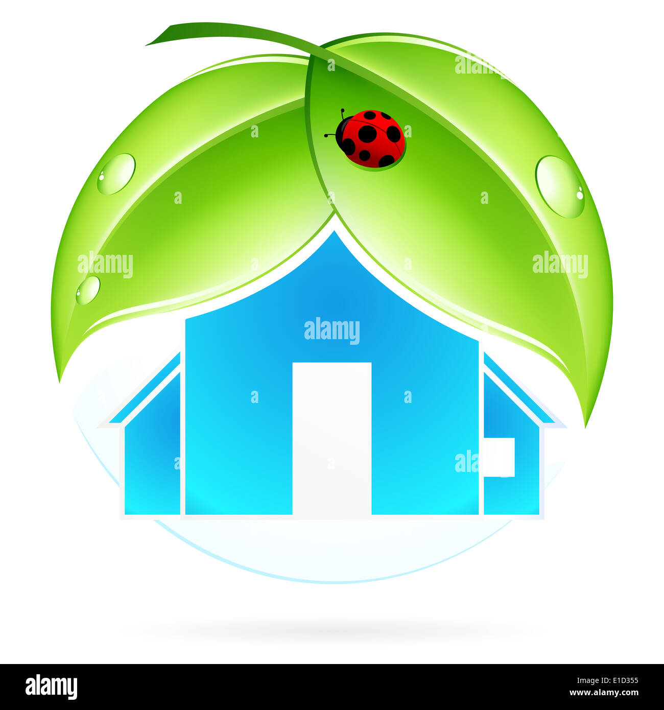 Haus-Symbol mit grünen Blättern und Marienkäfer Stockfoto