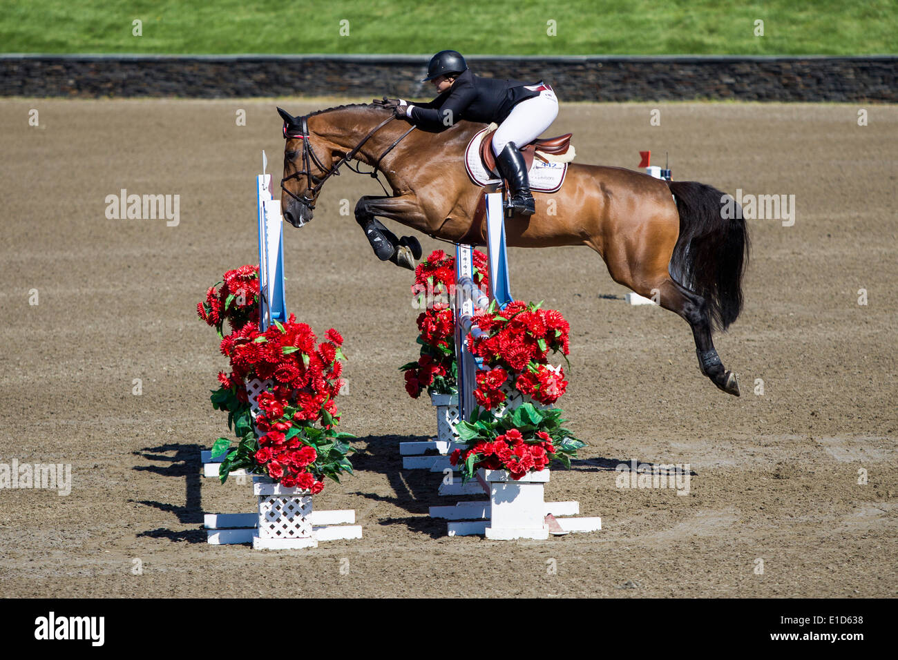 Zugriffe auf die Hudson-Springreiten, Saugerties, New York Stockfoto