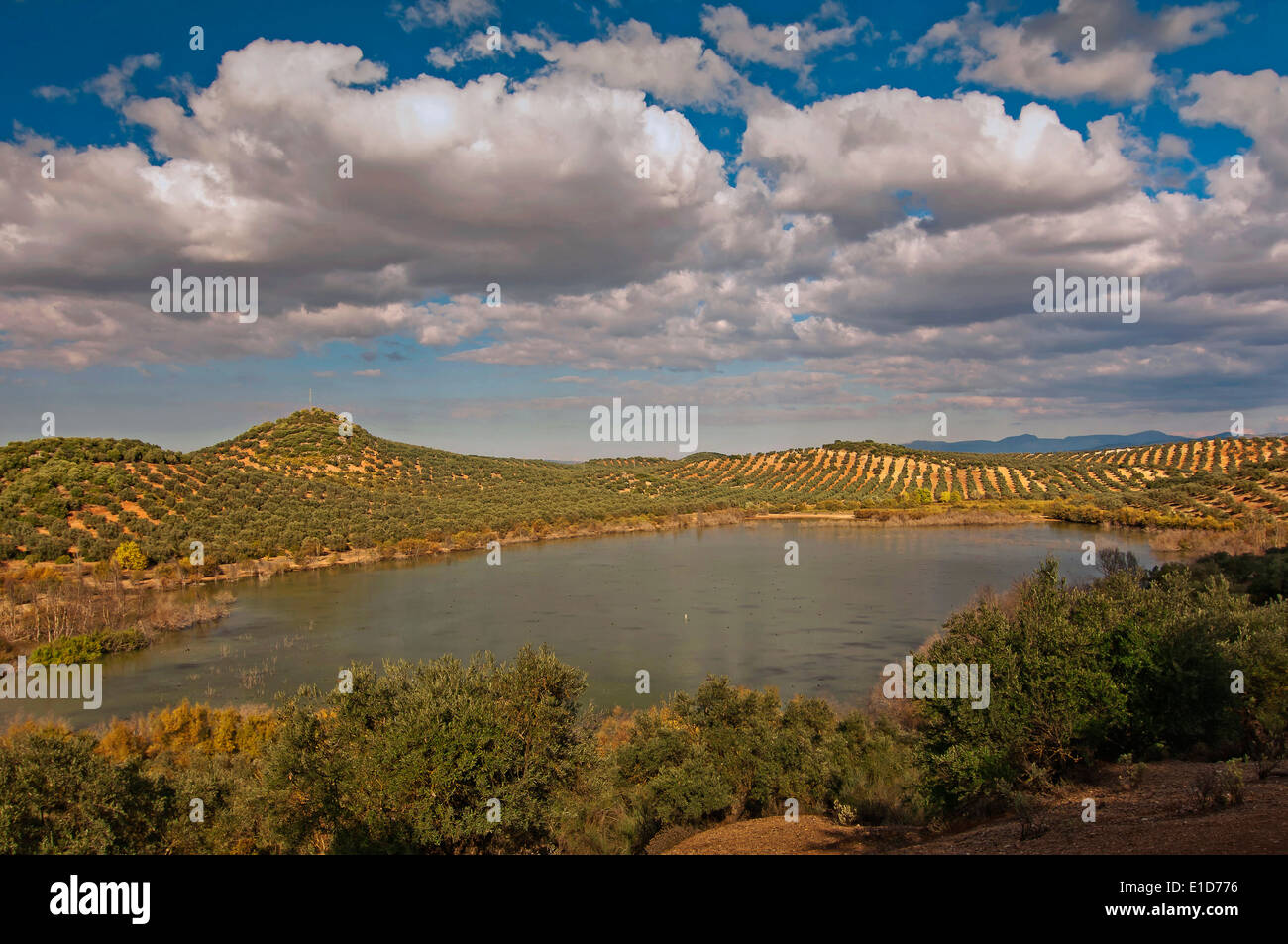 Süße Lagune, (Bitter Lagune Naturschutzgebiet), Jauja, Provinz Córdoba, Region von Andalusien, Spanien, Europa Stockfoto