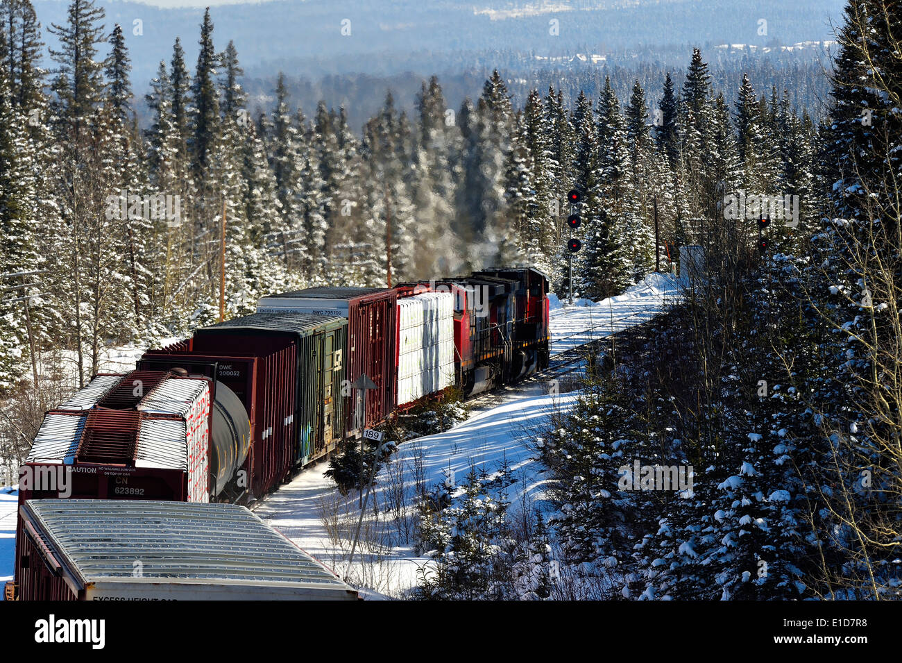 Eine Rückansicht eines kanadischen nationalen Güterzugs Reisen durch bewaldetes Gebiet Stockfoto