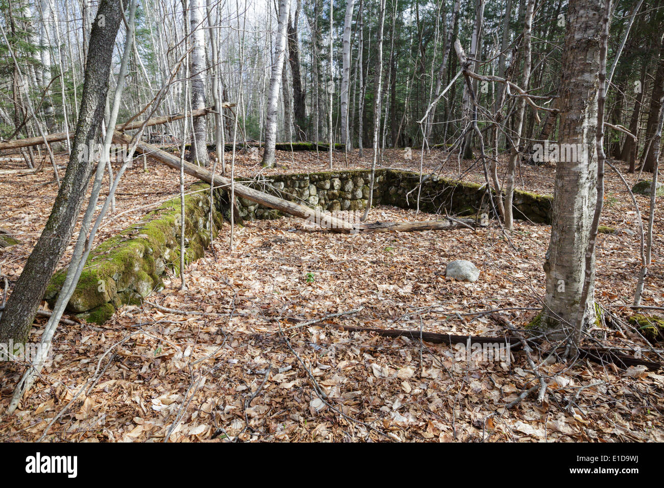 Verlassene Wohnung im White Mountain National Forest in New Hampshire Stockfoto