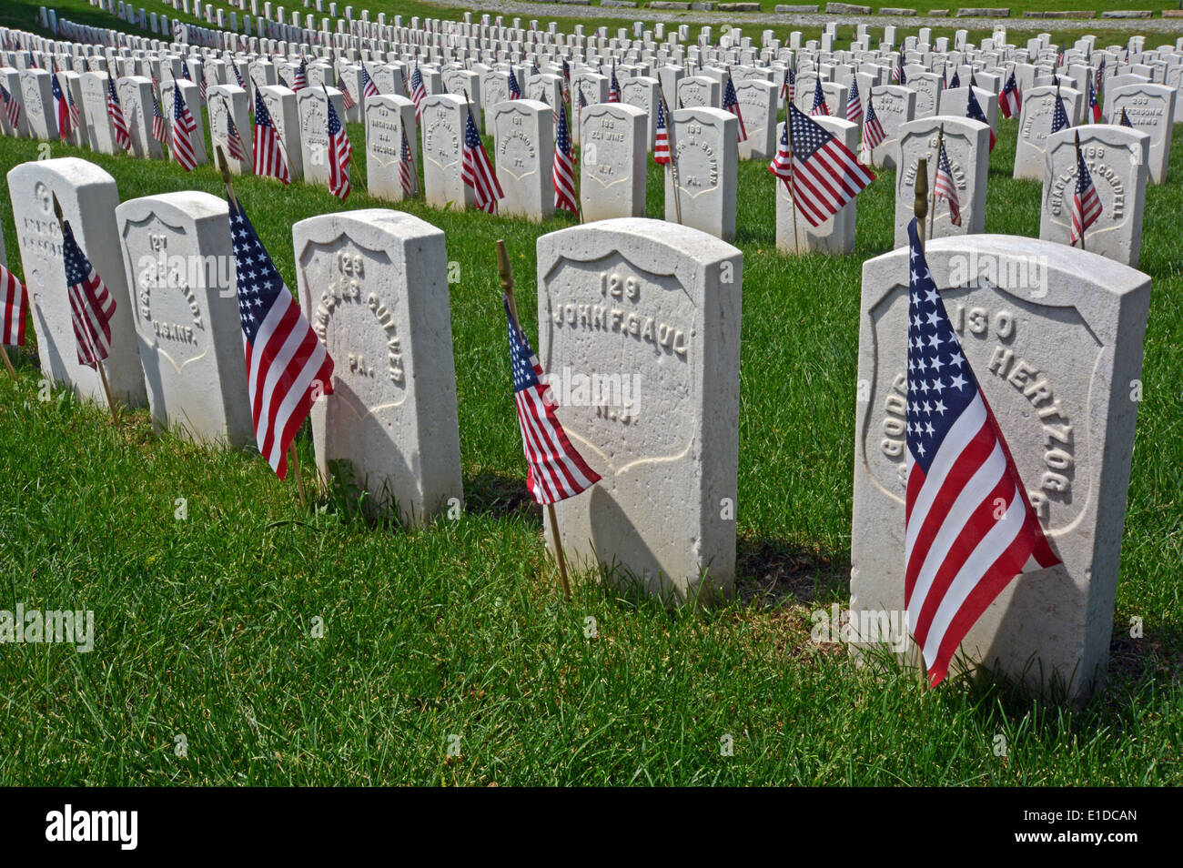 Amerikanische Flaggen auf Grabsteinen am Memorial Day auf Zypern Hills National Cemetery in Brooklyn, New York Stockfoto