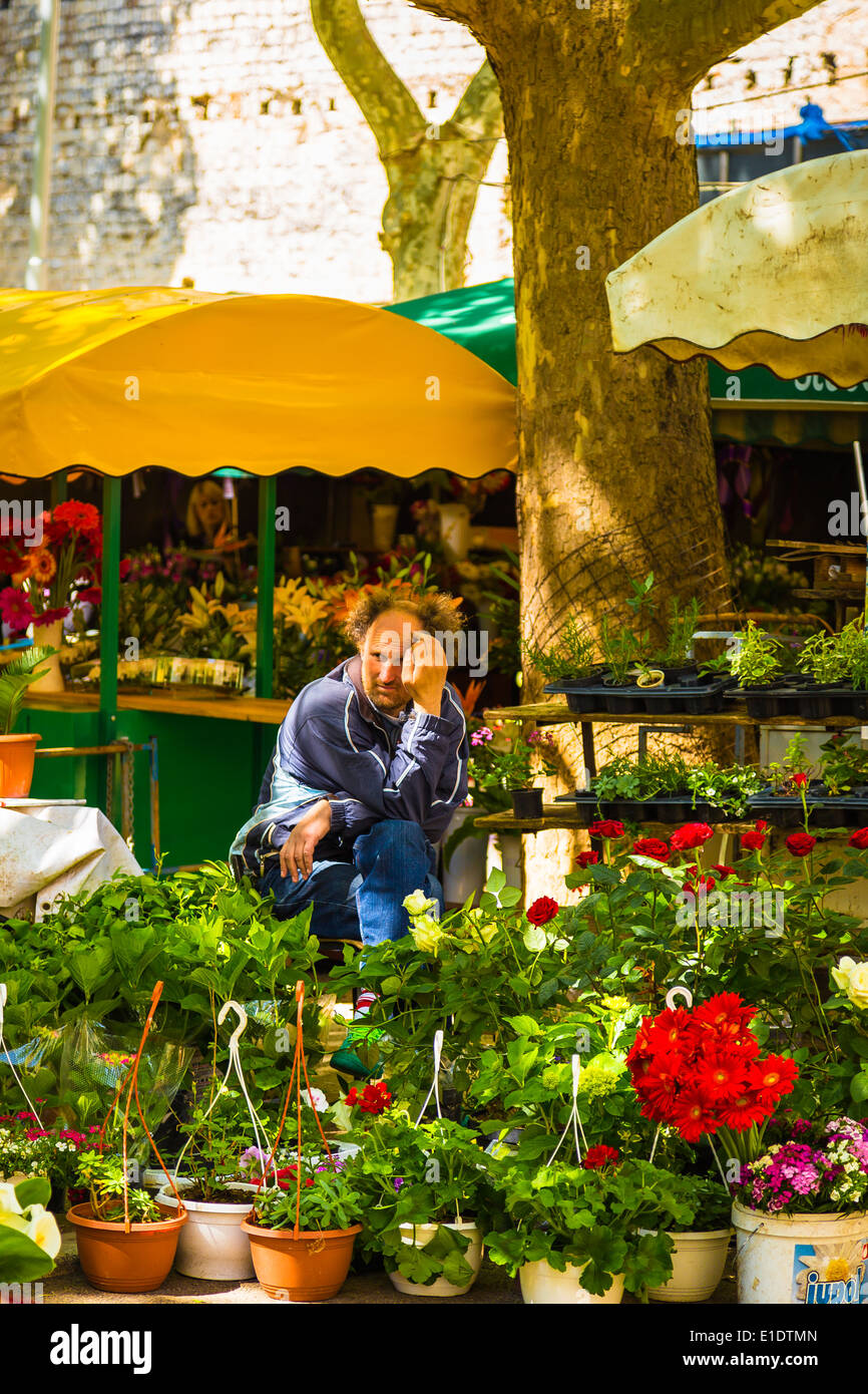 Ein Mann sitzt inmitten von Blumen an seinem Stand auf dem täglichen Markt in Split Kroatien Stockfoto