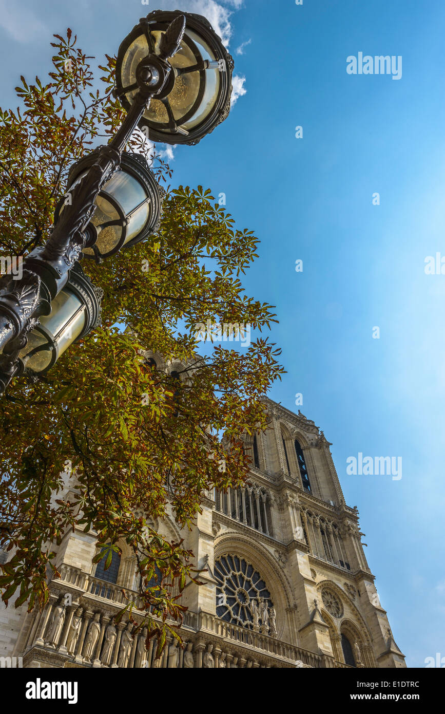 Kathedrale Notre Dame in Paris an einem sonnigen Sommertag Stockfoto