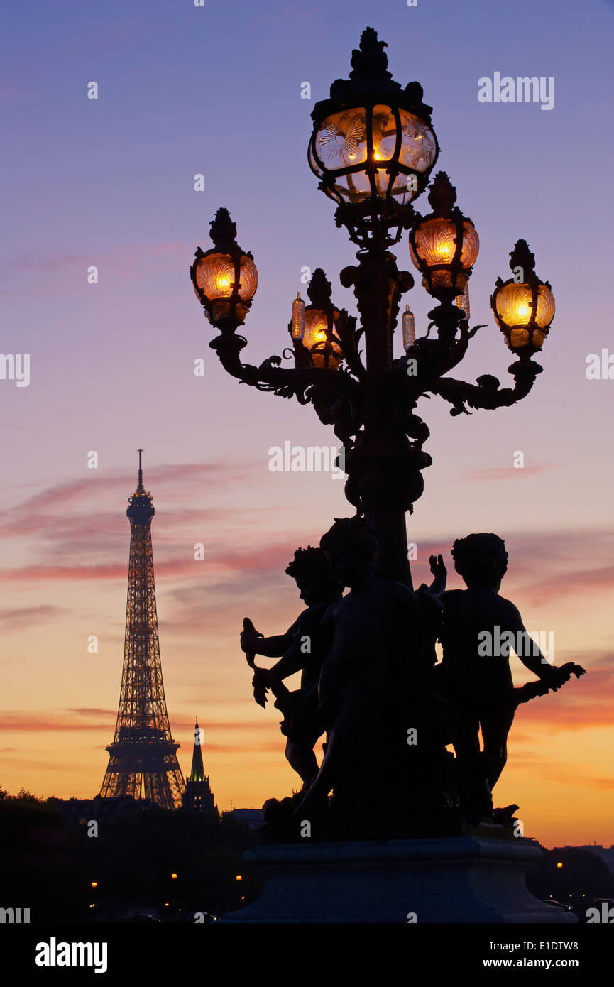Frankreich, Paris, Brücke Alexandre III und Eiffelturm bei Nacht Stockfoto