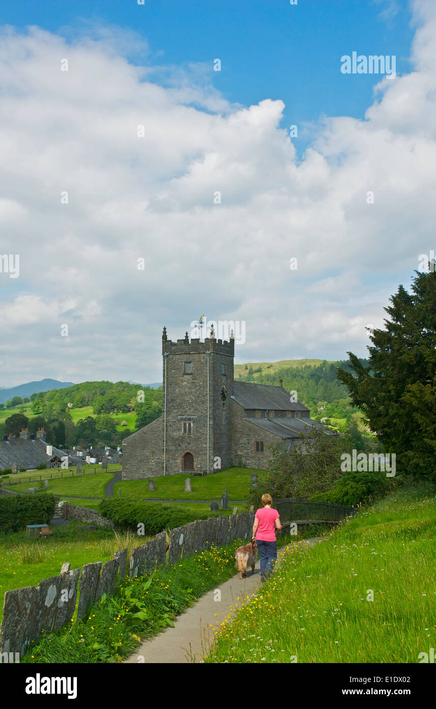 Frau und Hund zu Fuß in Richtung Hawkshead Kirche, Nationalpark Lake District, Cumbria, England UK Stockfoto