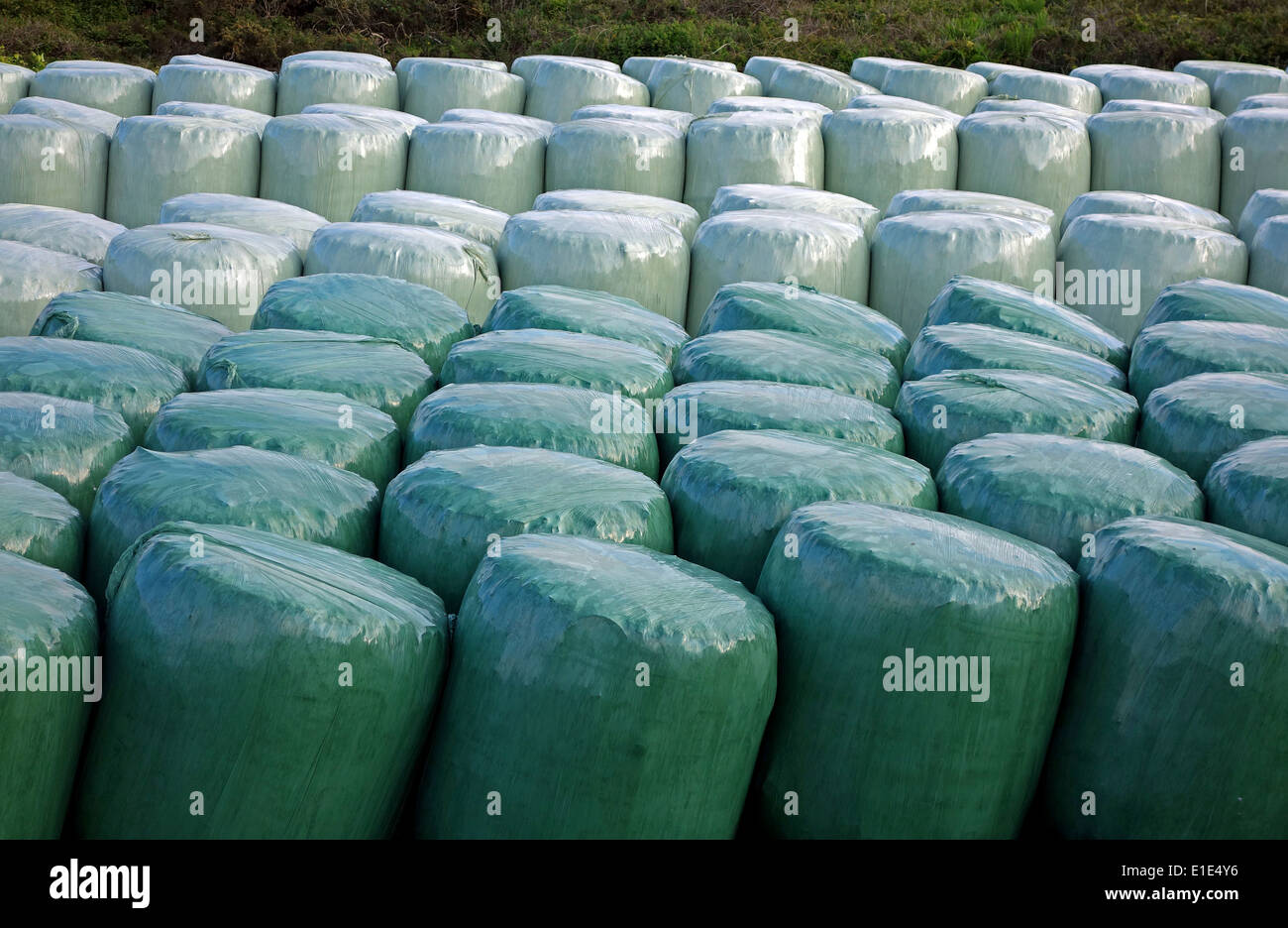Recycling-Abfall-Lagerung Stockfoto