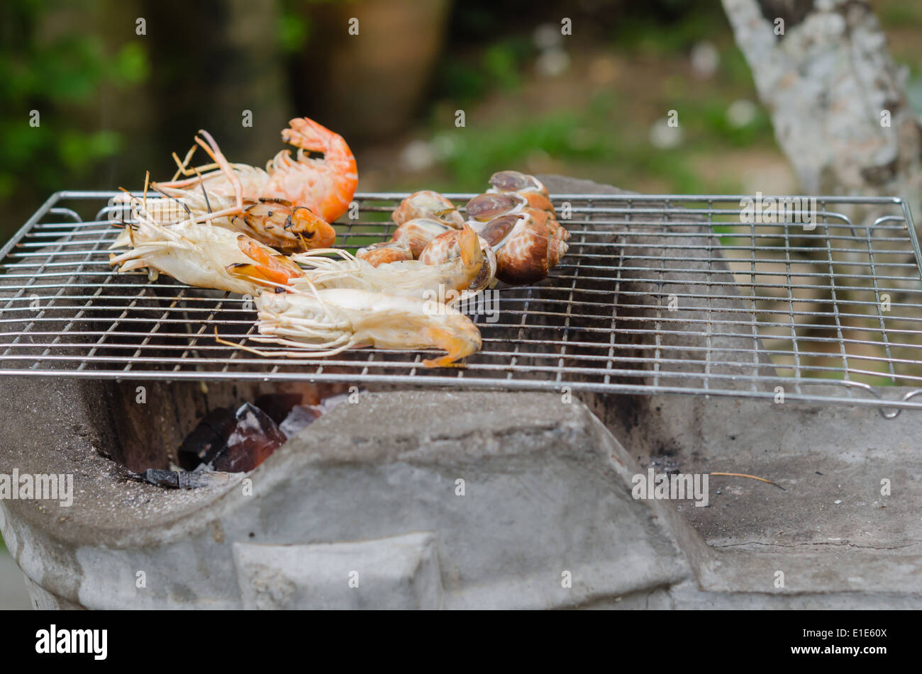 Gefleckte Babylon und Garnelen auf dem Grill Kochen Stockfoto