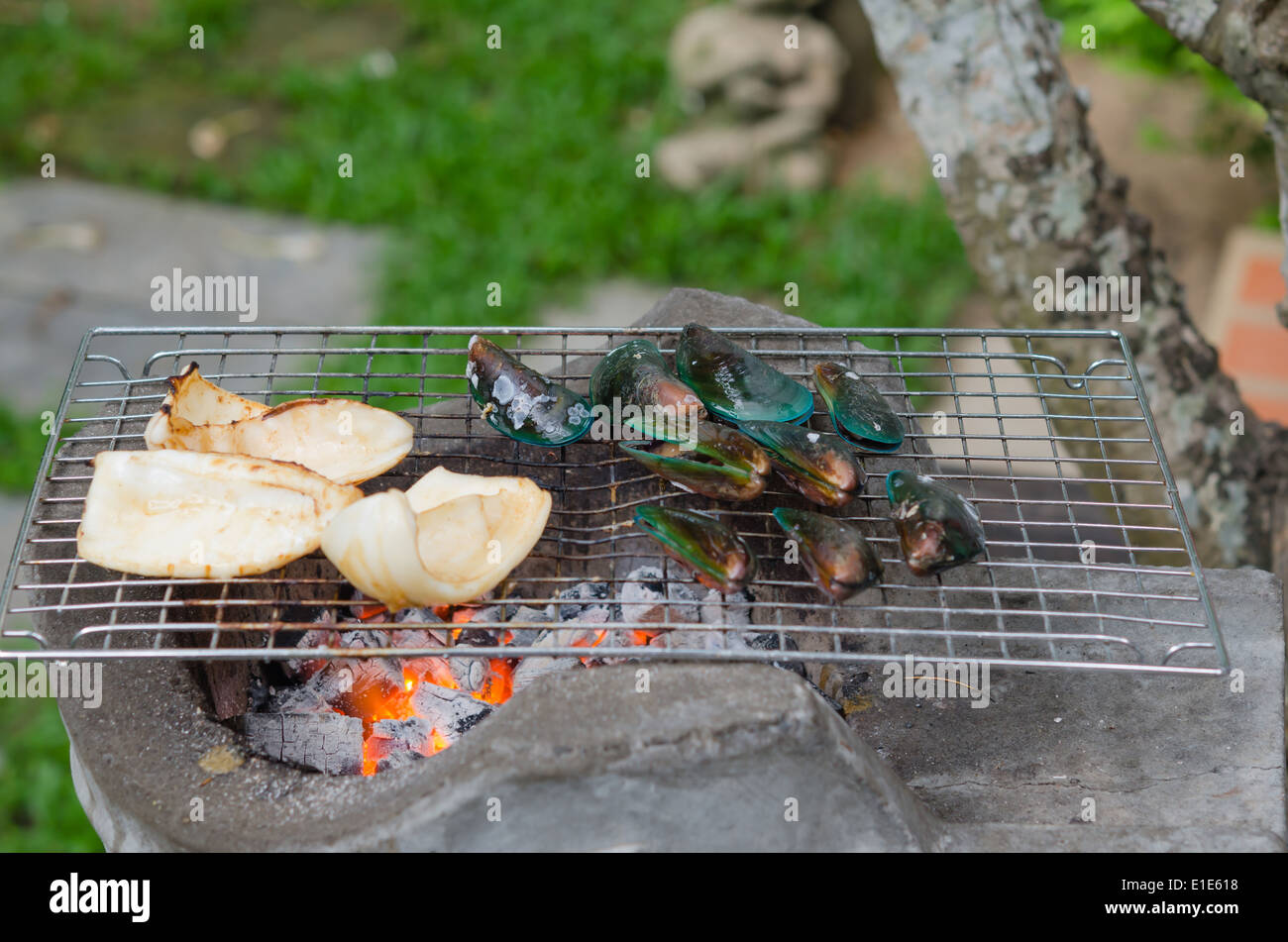 Gegrillter Tintenfisch und grüne Muschel auf dem Grill, Meeresfrüchte bbq Stockfoto