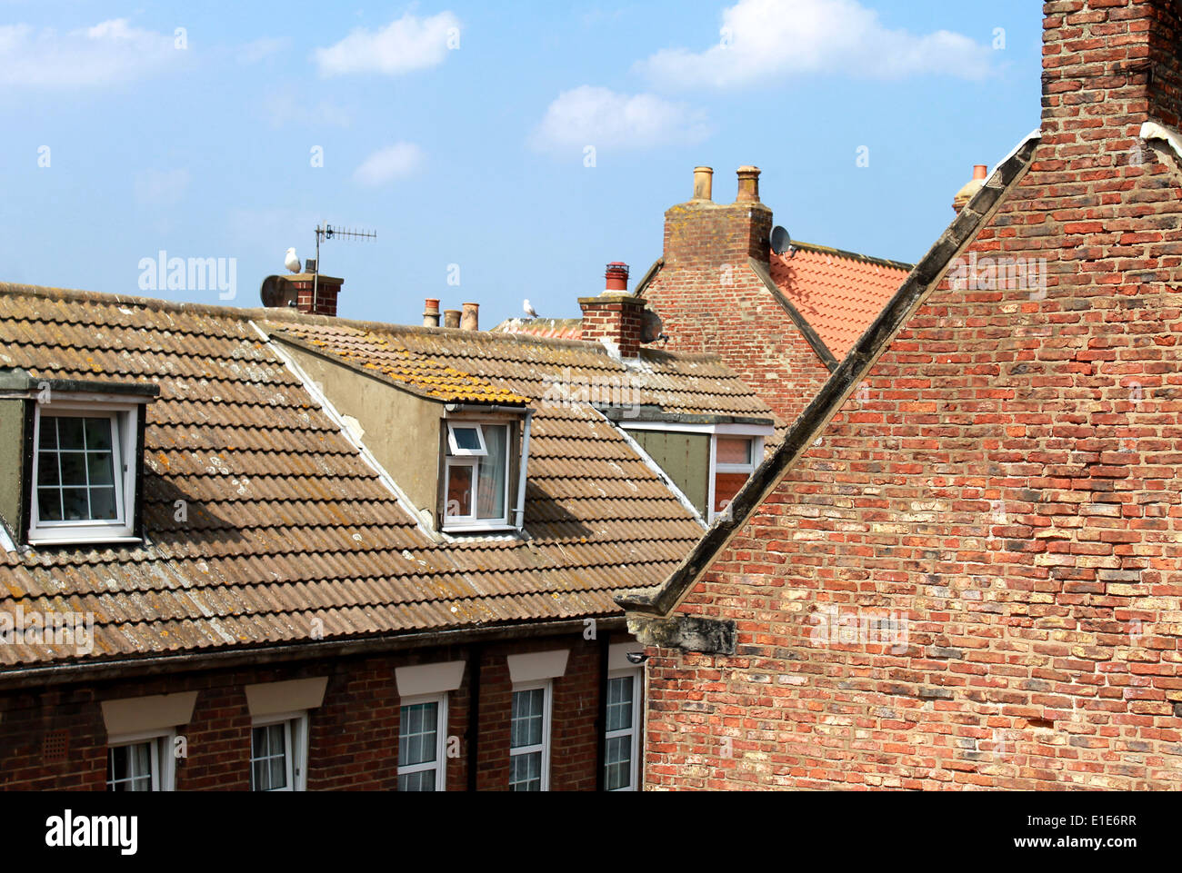 Gekachelte Hausdächer in der Stadt von Whitby, North Yorkshire, England. Stockfoto