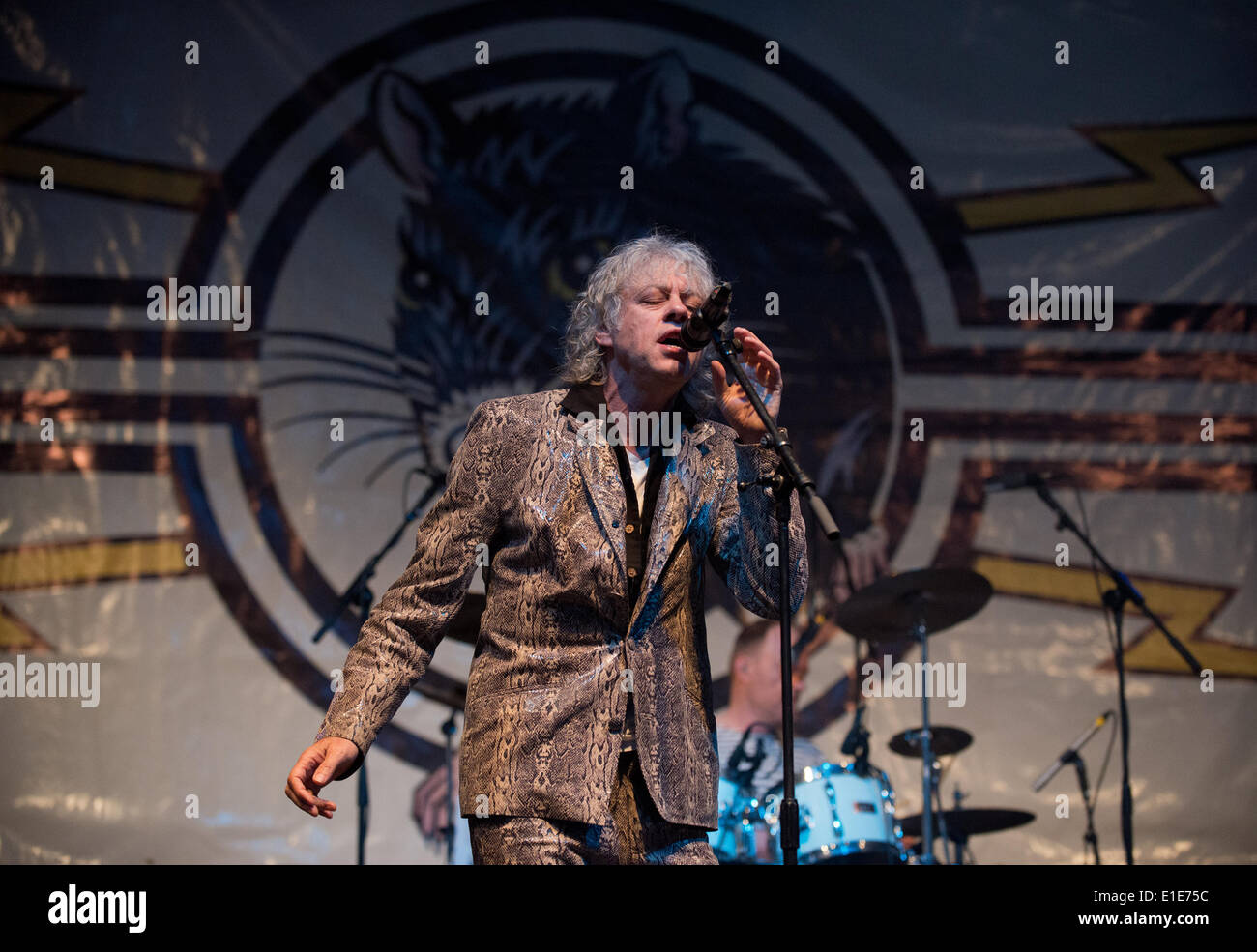Wychwood Festival, Cheltenham, Vereinigtes Königreich. 1. Juni 2014. Bob Geldof & die Boomtown Rats, führen am 10. Wychwood Festival Cheltenham UK Credit: Charlie Bryan/Alamy Live News Stockfoto