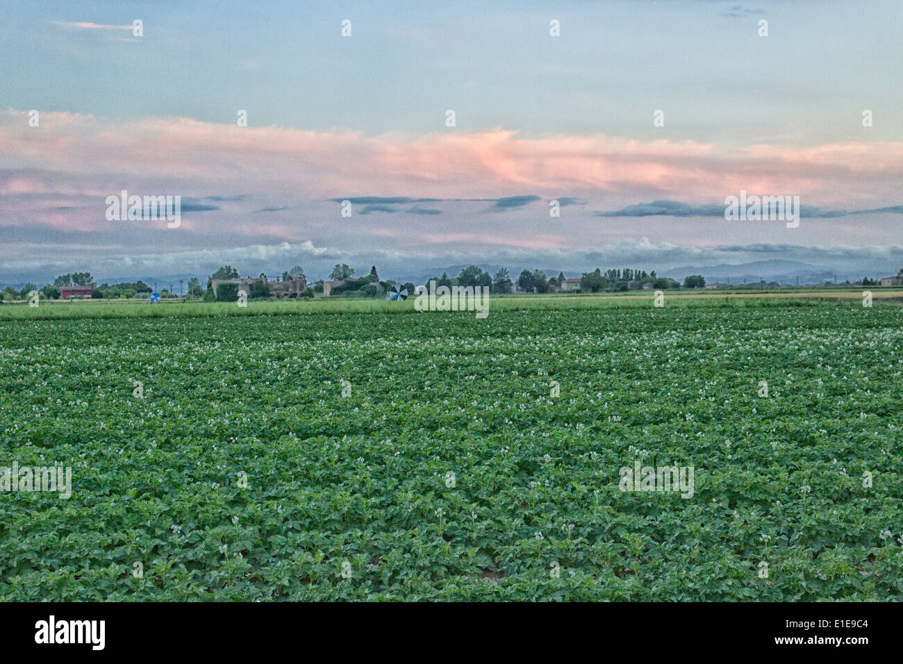 Zerstörten Bauern Häuser im italienischen Landschaft Stockfoto