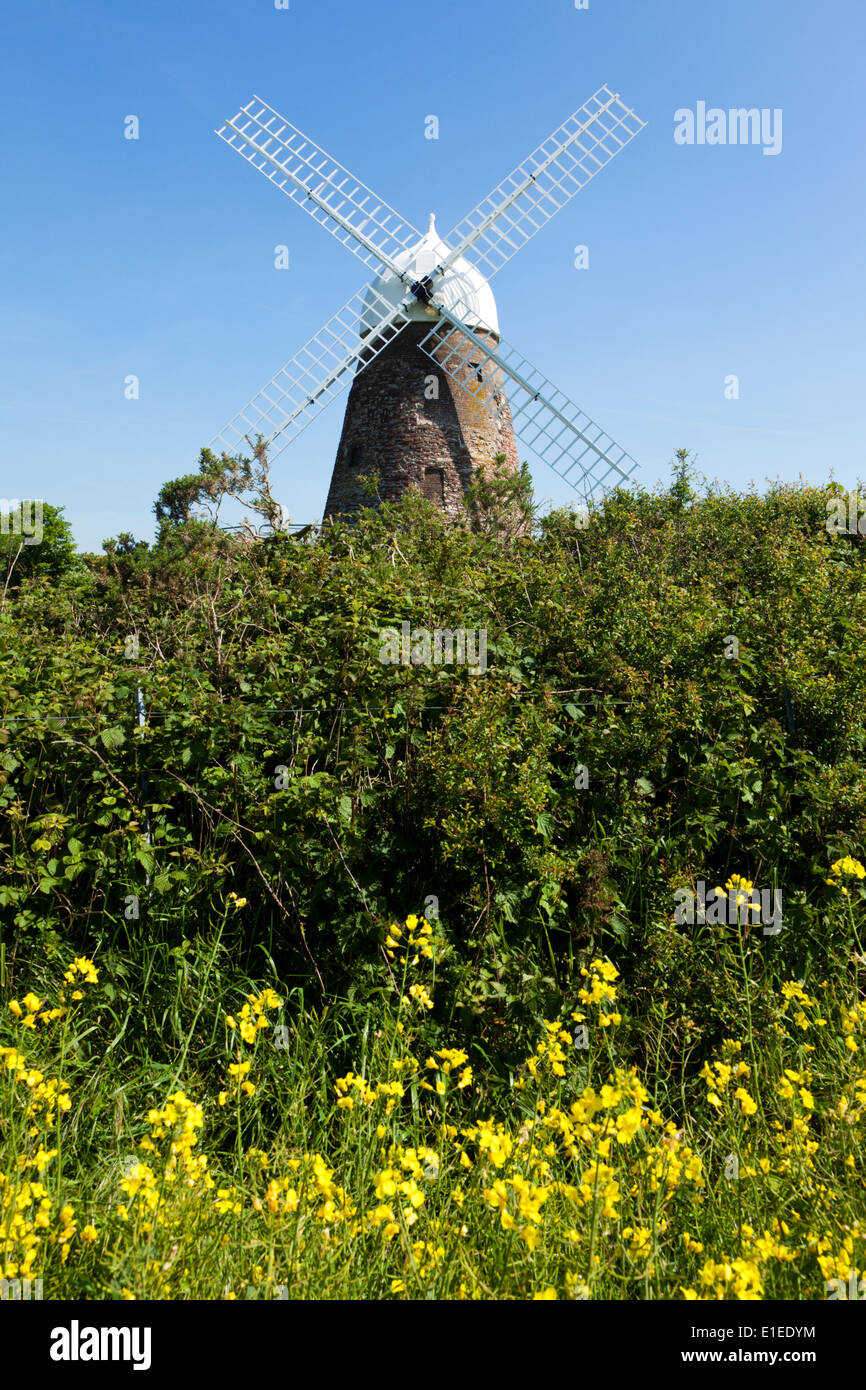 Alte Windmühle am Halnaker, West Sussex, UK Stockfoto