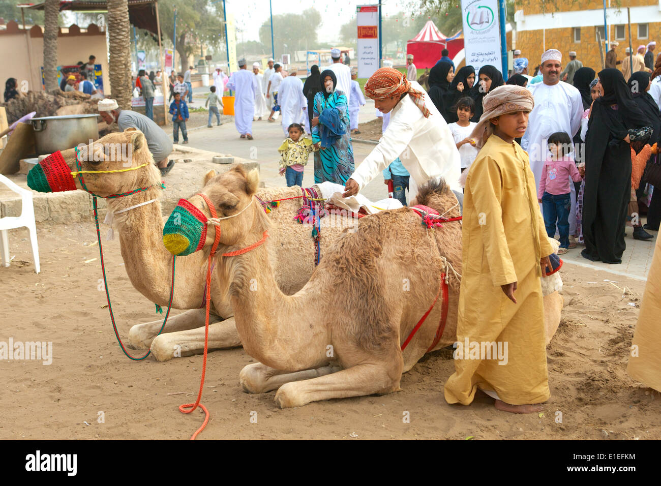 Omanis in traditioneller Kleidung, zusammen mit einem Paar von Kamelen in einer Muscat-Straße in das Sultanat Oman. Stockfoto