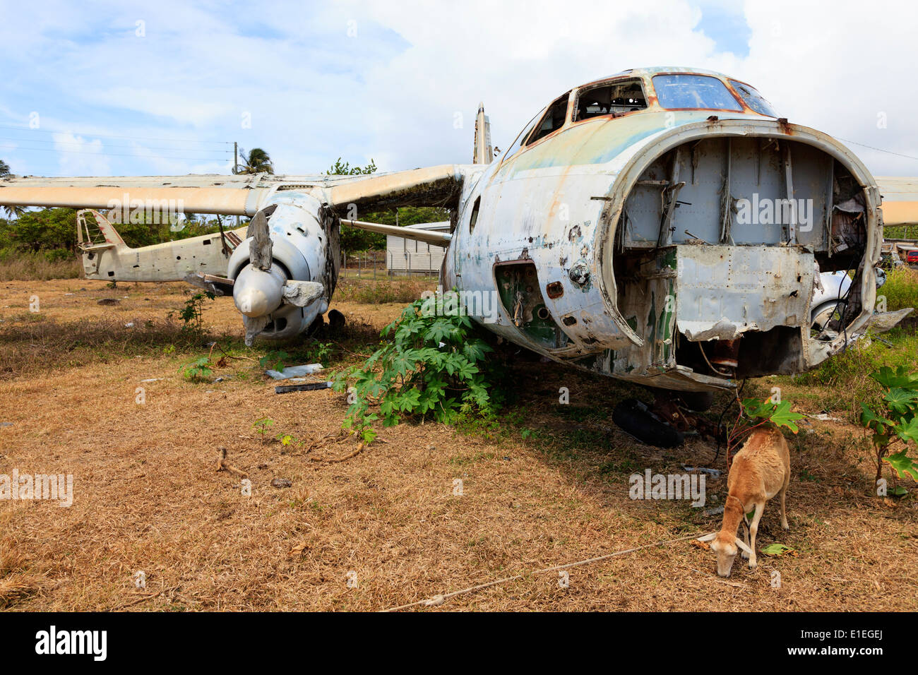 Wrack eines russischen Antonov AN26 Flugzeugs an Perlen Flugplatz, Grenville, Grenada, West Indies Stockfoto