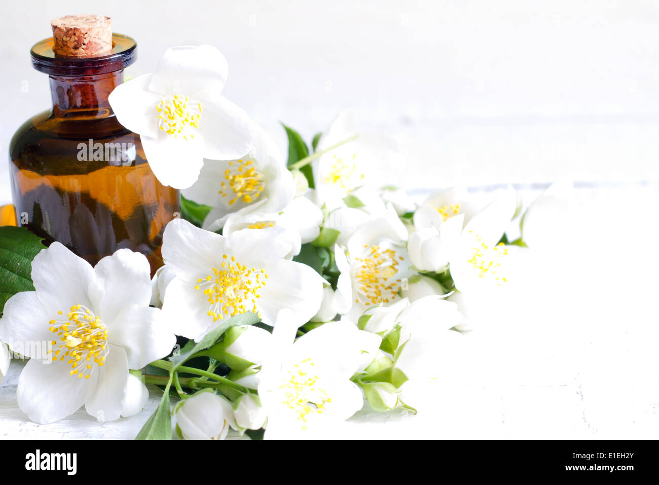 Jasmin Aromaöl auf weißen Planken mit Blumen-Konzept Stockfoto