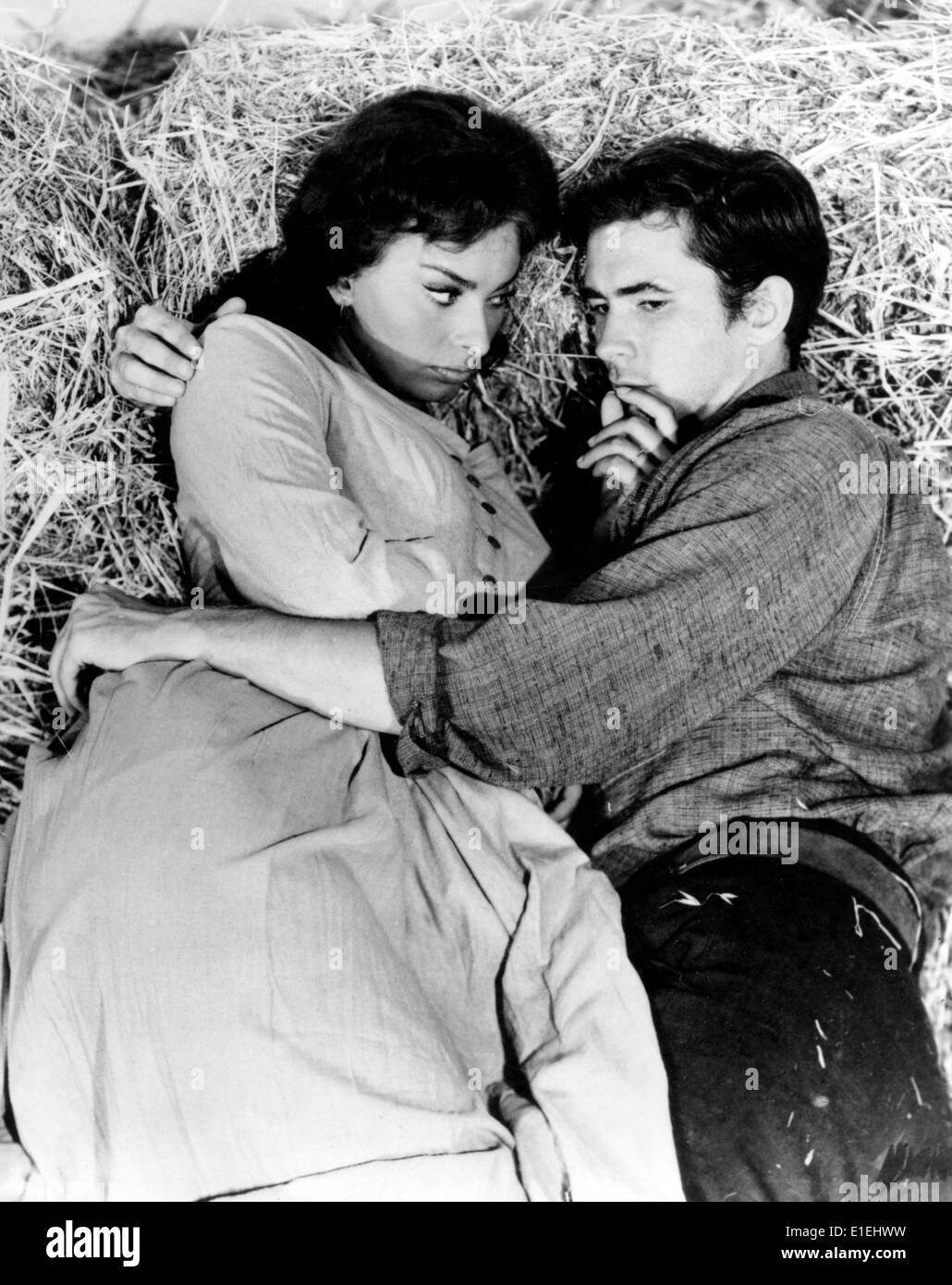 WUNSCH UNTER DEN ULMEN (1958) SOPHIA LOREN, ANTHONY PERKINS, DELBERT MANN (DIR) ABGABEN 001 MOVIESTORE COLLECTION LTD. Stockfoto