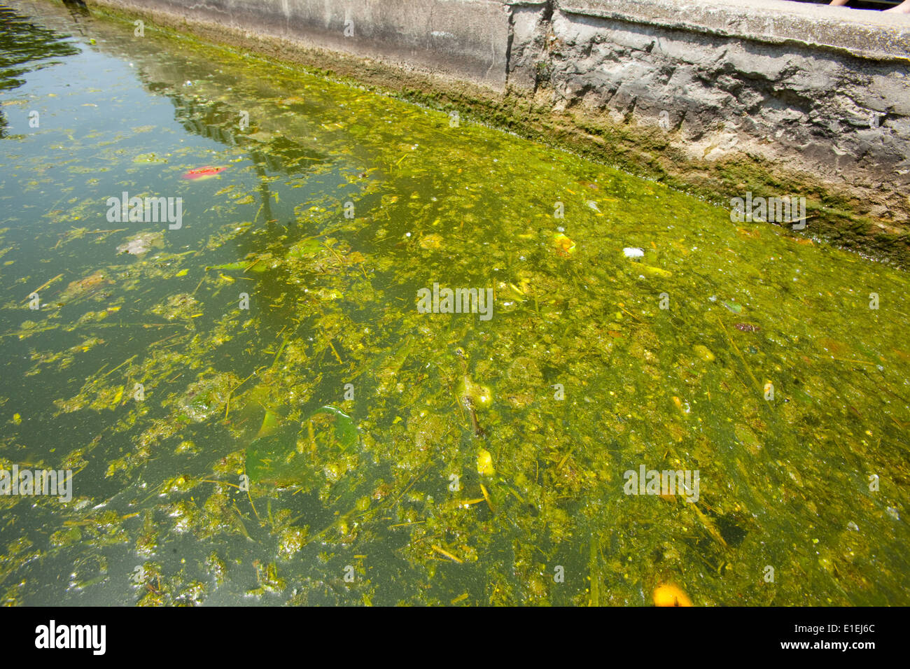Schmutzwasser in Canal Saint-Martin, Paris Stockfoto