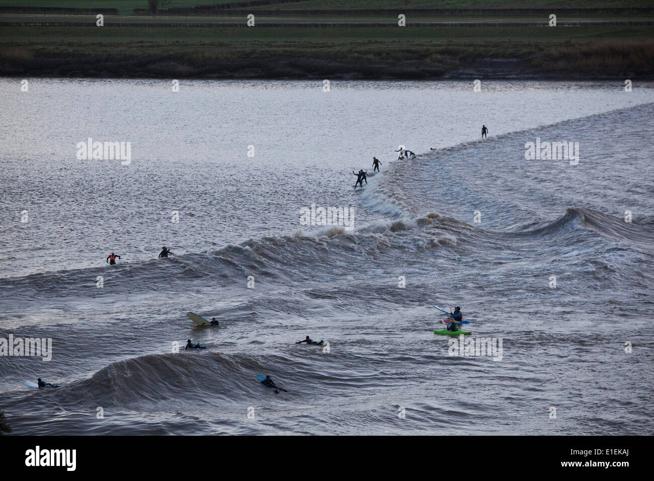Surfer und Menschen in Kajaks auf die fünf Sterne Severn Bore Welle zu reiten, wie es geht Newnham in Gloucestershire. Stockfoto