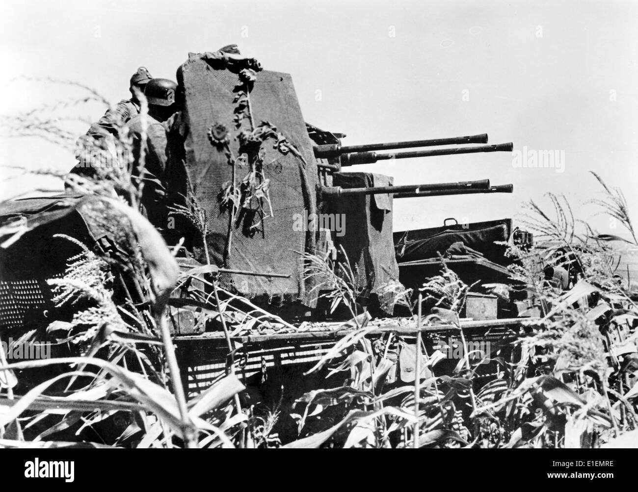 Das Bild der Nazi-Nachrichtenberichte zeigt deutsche Soldaten, die im August 1942 eine Flugabwehrwaffe (Flak) auf einem Feld mit Sonnenblumen an der südöstlichen Front besetzten. Der deutsche Angriff auf die Sowjetunion wurde im Juli 1940 beschlossen und seit Dezember 1940 unter dem Codenamen "Operation Barbarossa" vorbereitet. Die deutsche Invasion der Sowjetunion begann am 22. Juni 1941. Fotoarchiv für Zeitgeschichtee -KEIN KABELDIENST- Stockfoto