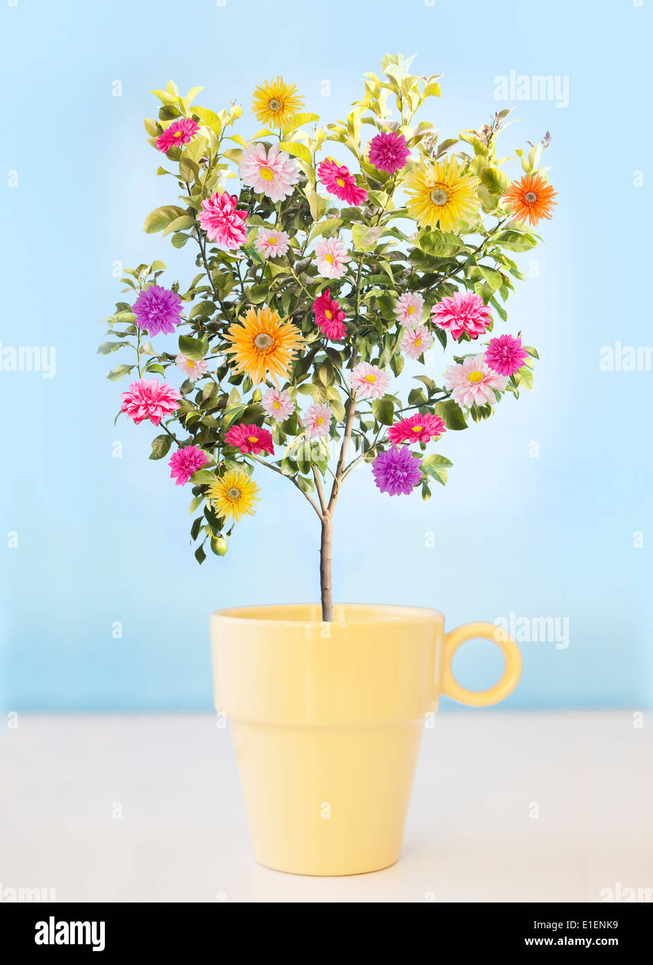 Blume Baum wächst aus gelben Kaffeetasse Stockfoto