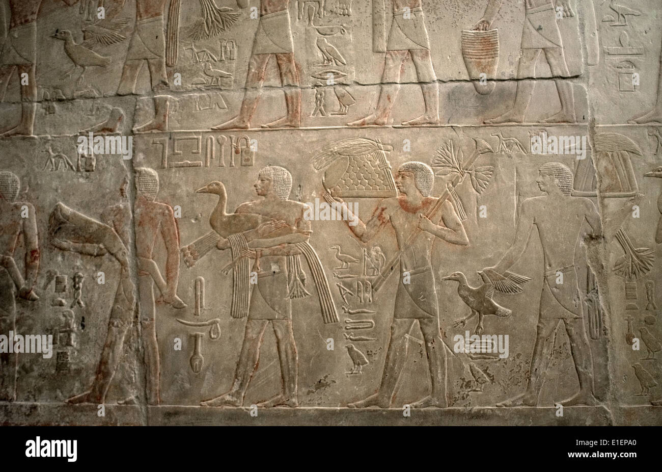 Mastaba des Ptahhotep und Akhethotep. 5. Dynastie. Relief Darstellung des Transports Angebote ins Jenseits. Sakkara. Ägypten. Stockfoto