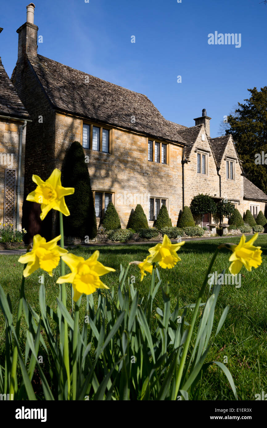 Cotswold Cottages mit Feder Narzissen Stockfoto