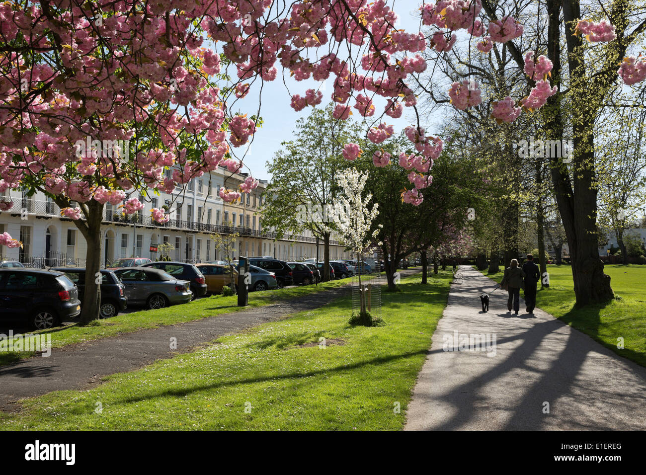 Montpellier Gärten und Montpellier Spa Road, Cheltenham, Gloucestershire, England, Vereinigtes Königreich Stockfoto