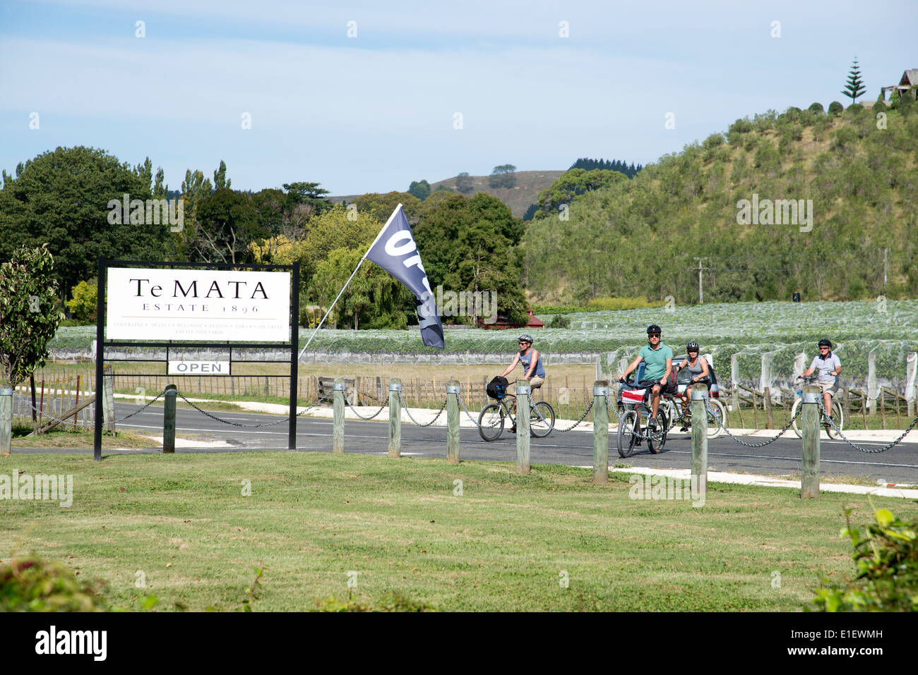Te Mata Wine Estate Havalock North in der Hawkes Bay Region Neuseeland Radfahrer auf Tour durch die Weinberge besuchen Stockfoto